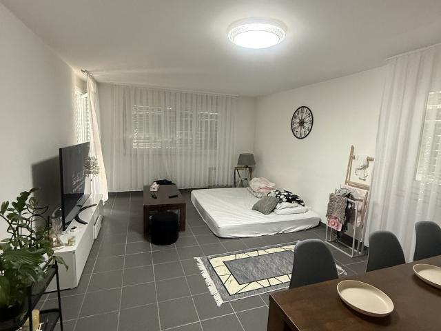Rent a 3 ½ rooms apartment in Tafers Flatfox