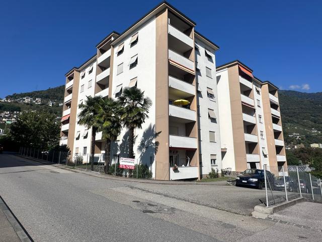 Rent a 3 ½ rooms apartment in Tenero Contra Flatfox