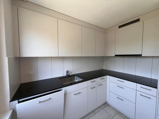 Rent a 3 ½ rooms apartment in Thun Flatfox