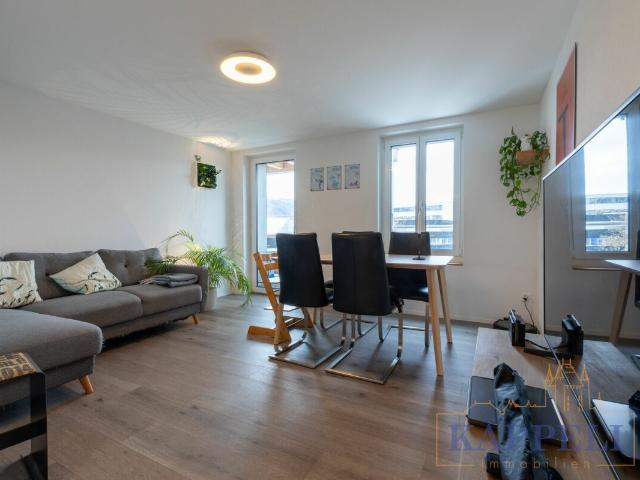 Rent a 3 ½ rooms apartment in Thun Flatfox