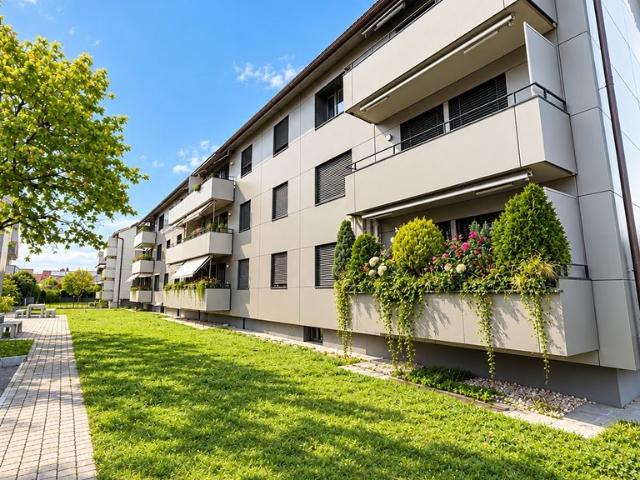Rent a 3 ½ rooms apartment in Thun Flatfox