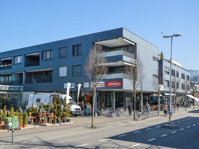 Rent a 3 ½ rooms apartment in Thun Flatfox
