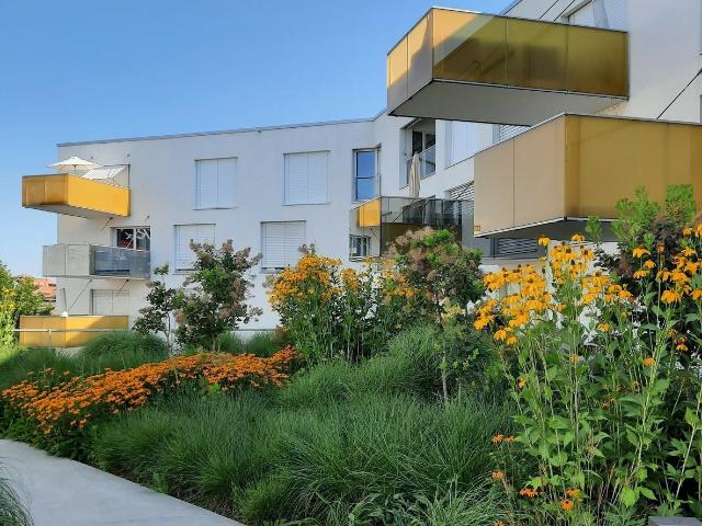 Rent a 3 ½ rooms apartment in Thun Flatfox