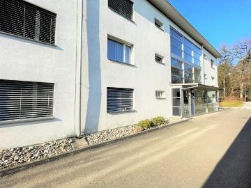 Rent a 3 rooms apartment in Thun Flatfox