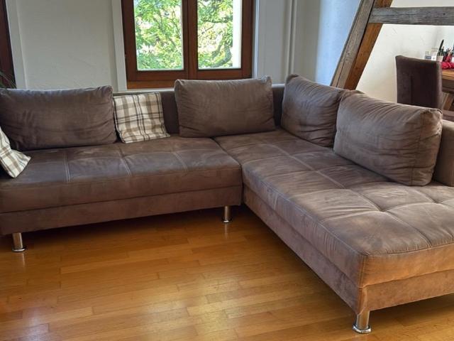 Rent a 3 rooms apartment in Thalwil Flatfox