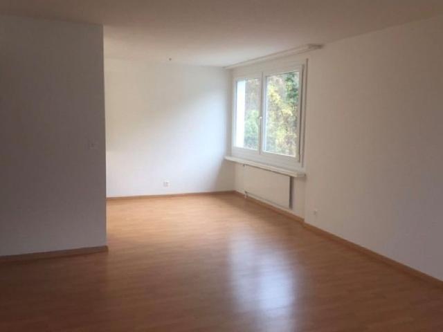 Rent a 3 ½ rooms apartment in Trimbach Flatfox