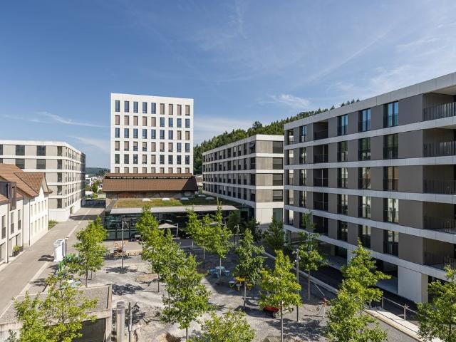Rent a 3 ½ rooms apartment in Unterkulm Flatfox