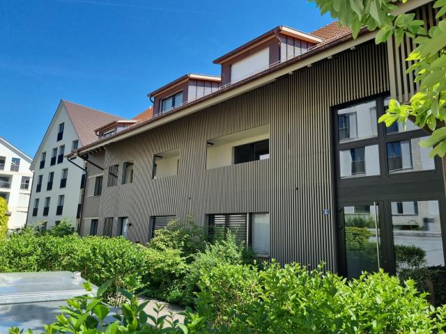 Rent a 3 ½ rooms apartment in Uster Flatfox