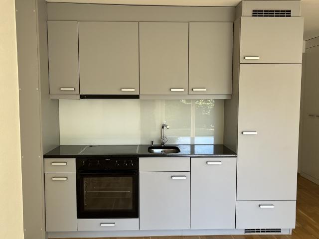 Rent a 3 rooms apartment in Uster Flatfox