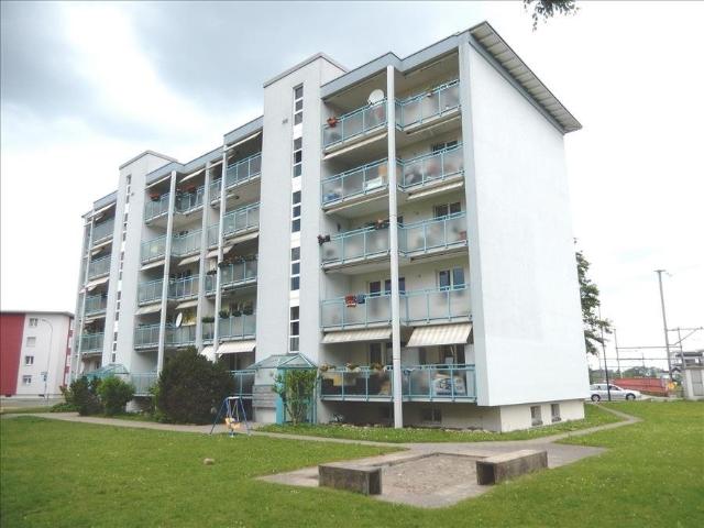 Rent a 3 rooms apartment in Uster Flatfox