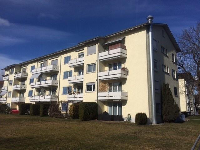 Rent a 3 rooms apartment in Uster Flatfox