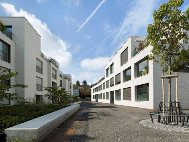 Rent a 3 ½ rooms apartment in Uster Flatfox