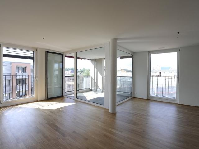 Rent a 3 ½ rooms apartment in Uster Flatfox