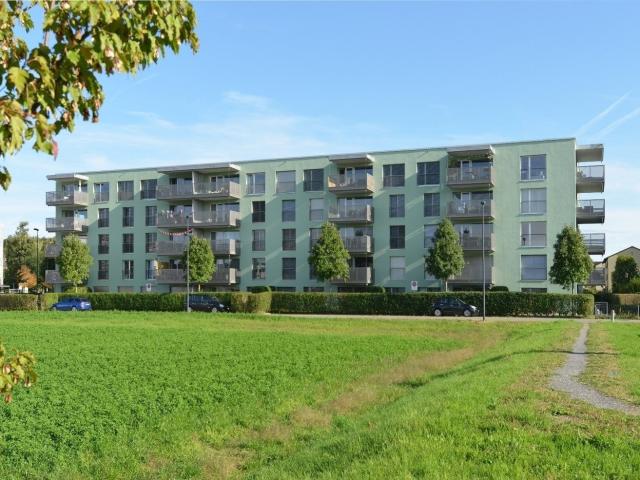 Rent a 3 ½ rooms apartment in Uster Flatfox