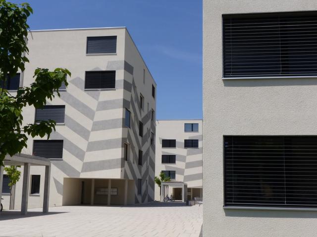 Rent a 3 ½ rooms apartment in Villmergen Flatfox