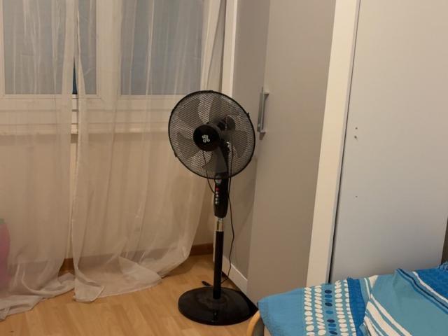 Rent a 3 ½ rooms apartment in Yverdon les Bains Flatfox