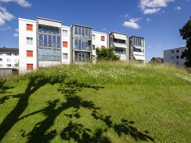 Rent a 3 rooms apartment in Zofingen Flatfox