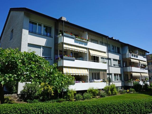 Rent a 3 ½ rooms apartment in Zollikofen Flatfox