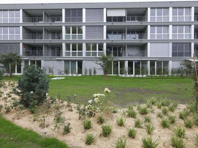 Rent a 3 ½ rooms apartment in Zollikofen Flatfox