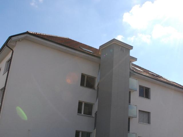 Rent a 3 ½ rooms apartment in Zetzwil Flatfox
