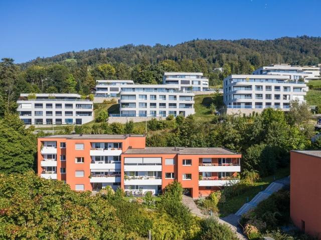 Rent a 3 ½ rooms apartment in Zug Flatfox