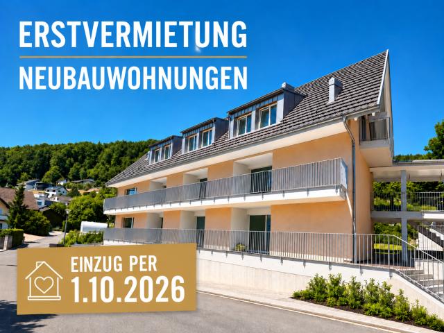 Rent a 3 ½ rooms apartment in Zullwil Flatfox