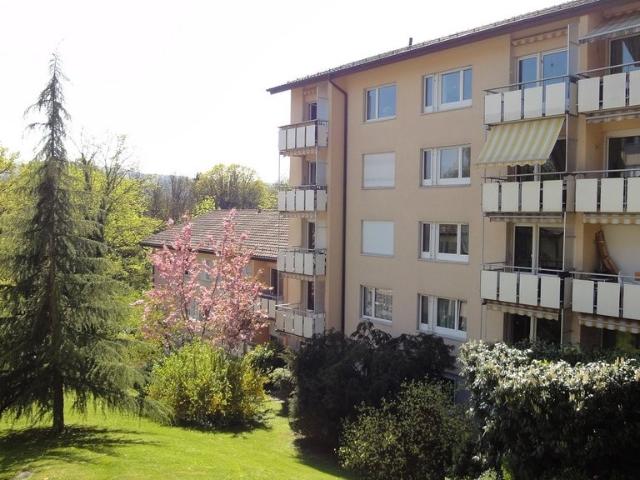 Rent a 3 rooms apartment in Zürich Flatfox