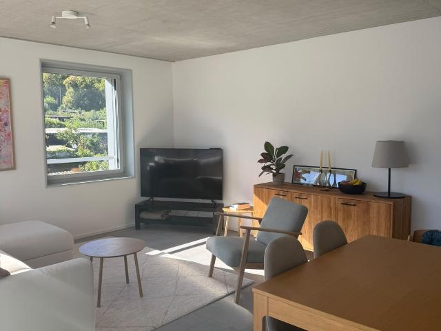 Rent a 3 ½ rooms apartment in Zürich Flatfox