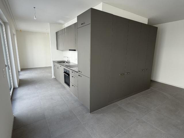 Rent a 3 rooms apartment in Zürich Flatfox