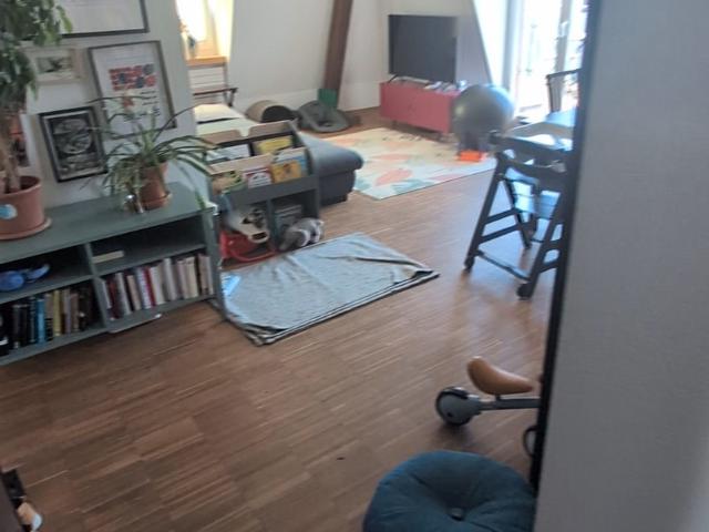 Rent a 3 ½ rooms apartment in Zürich Flatfox