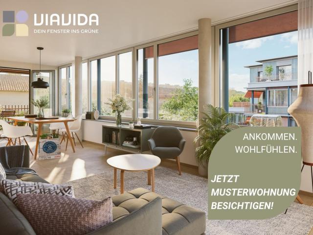 Rent a 3 ½ rooms apartment in Zürich Flatfox