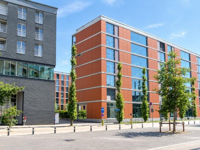 Rent a 3 ½ rooms apartment in Zürich Flatfox