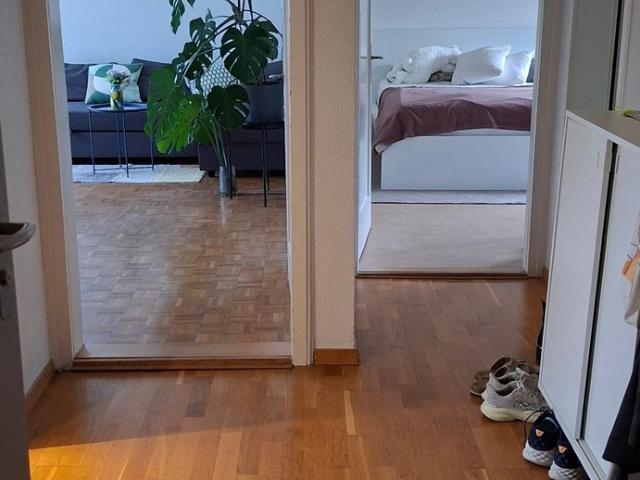 Rent a 3 rooms apartment in Zürich Flatfox