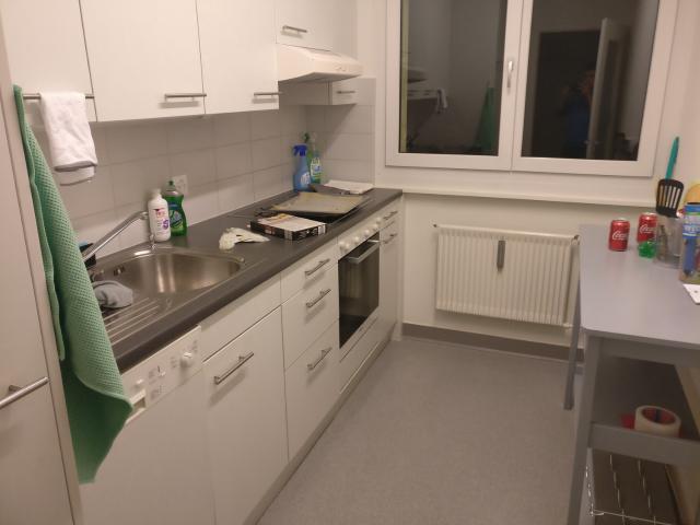Rent a 3 rooms apartment in Zürich Flatfox