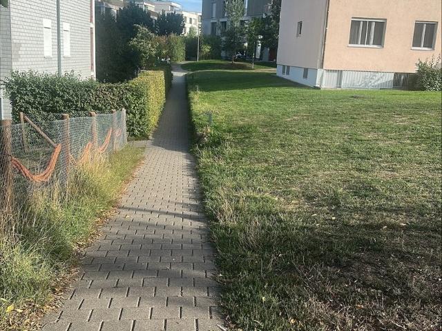 Rent a 3 rooms apartment in Zürich Flatfox
