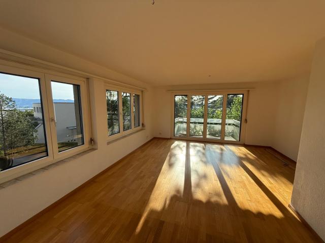 Rent a 3 ½ rooms apartment in Zürich Flatfox