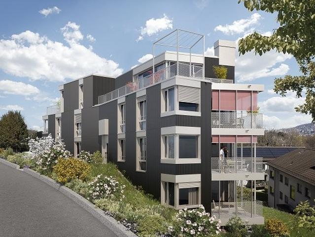 Rent a 3 ½ rooms apartment in Zürich Flatfox