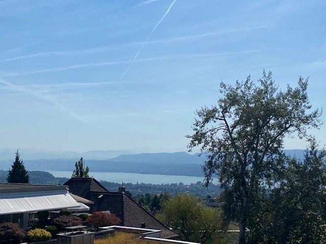 Rent a 3 ½ rooms apartment in Zürich Flatfox