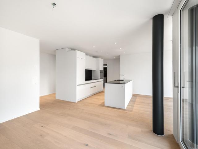 Rent a 3 ½ rooms apartment in Zürich Flatfox