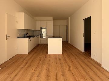 Rent a 3 ½ rooms apartment in Zürich Flatfox