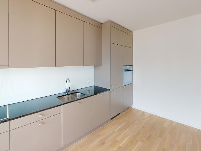 Rent a 3 ½ rooms apartment in Zürich Flatfox