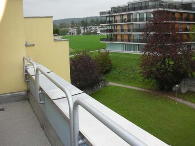 Rent a 3 rooms apartment in Zürich Flatfox