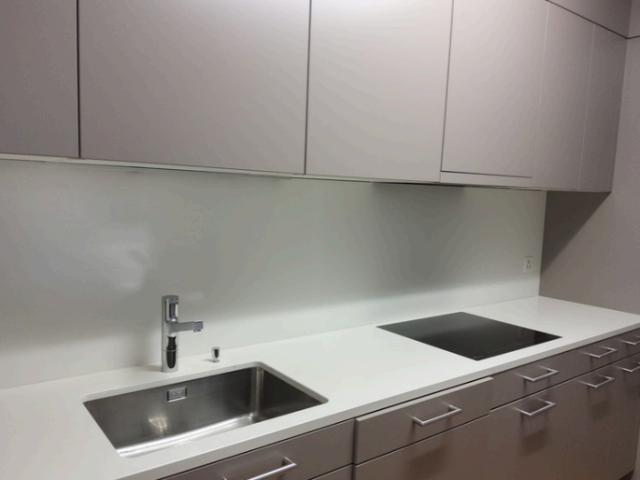 Rent a 3 ½ rooms apartment in Zürich Flatfox