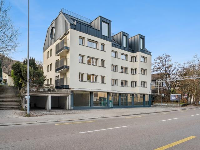 Rent a 3 ½ rooms apartment in Zürich Flatfox