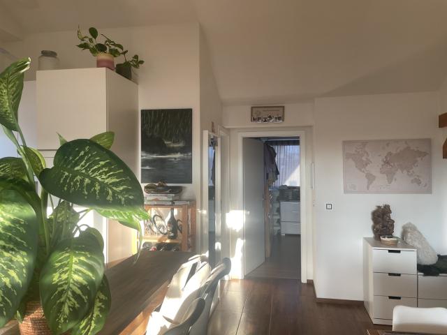 Rent a 3 ½ rooms apartment in Zürich Flatfox