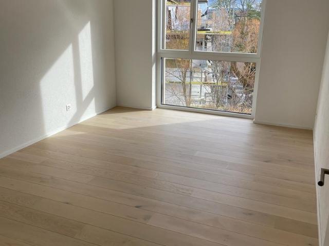 Rent a 3 ½ rooms apartment in Zürich Flatfox