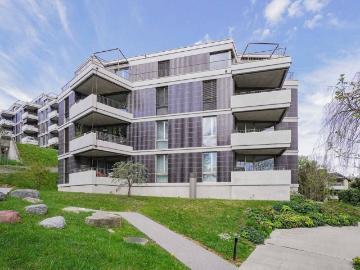 Rent a 3 ½ rooms apartment in Zürich Flatfox