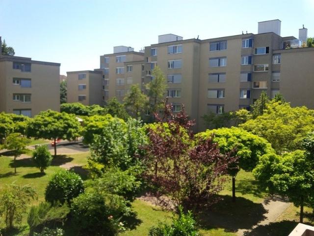 Rent a 3 ½ rooms apartment in Zürich Flatfox