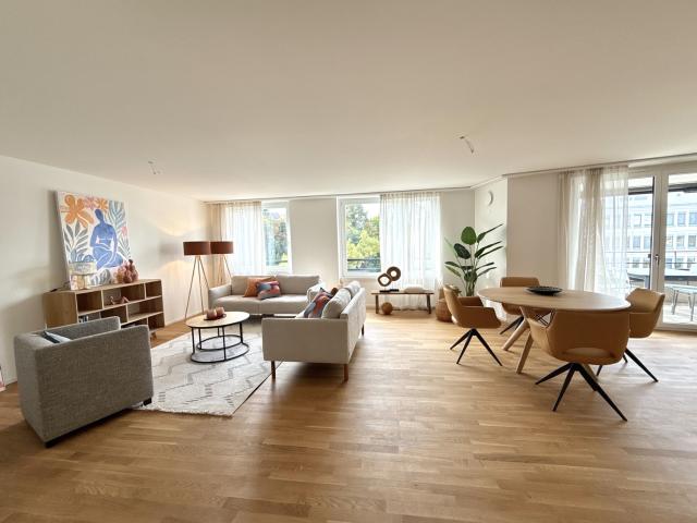Rent a 3 ½ rooms attic flat in Opfikon Flatfox
