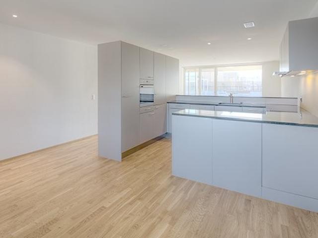 Rent a 3 ½ rooms attic flat in Aarberg Flatfox